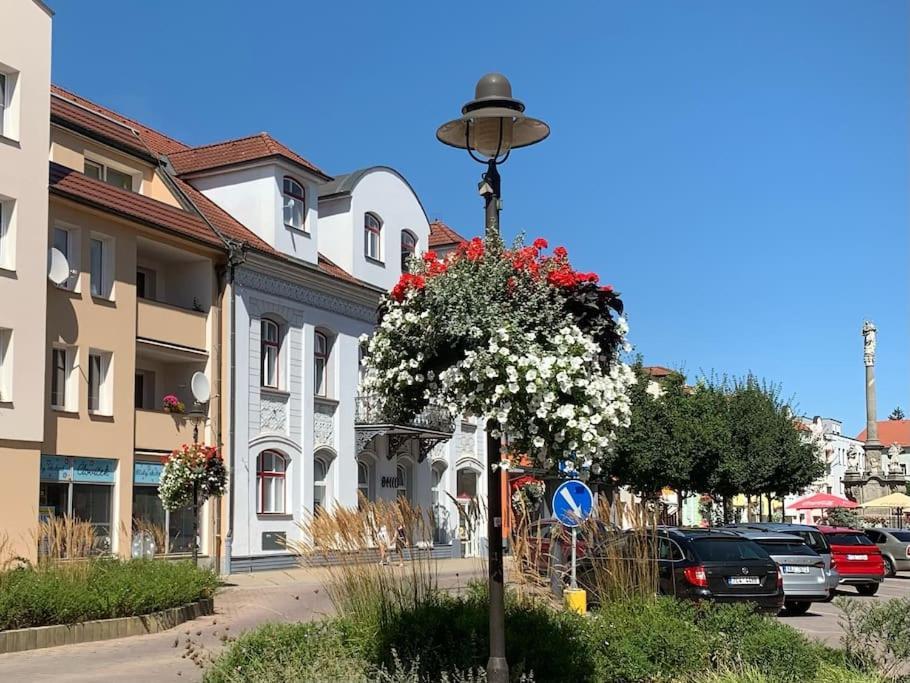 Apartment Forton Decco *